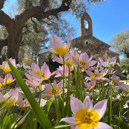 Bastide Sainte Trinide 3* 사나리쉬르메르